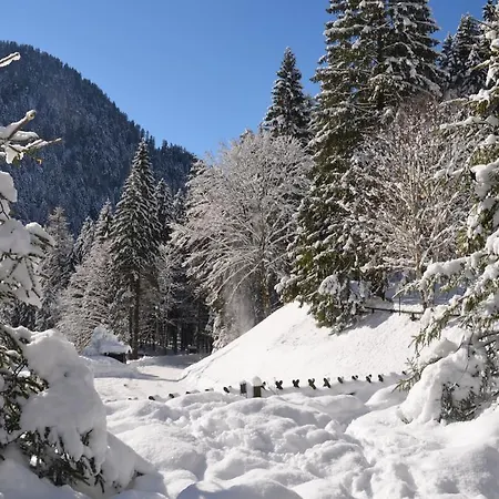 Chalet Al Faggio Lenzumo di Concei